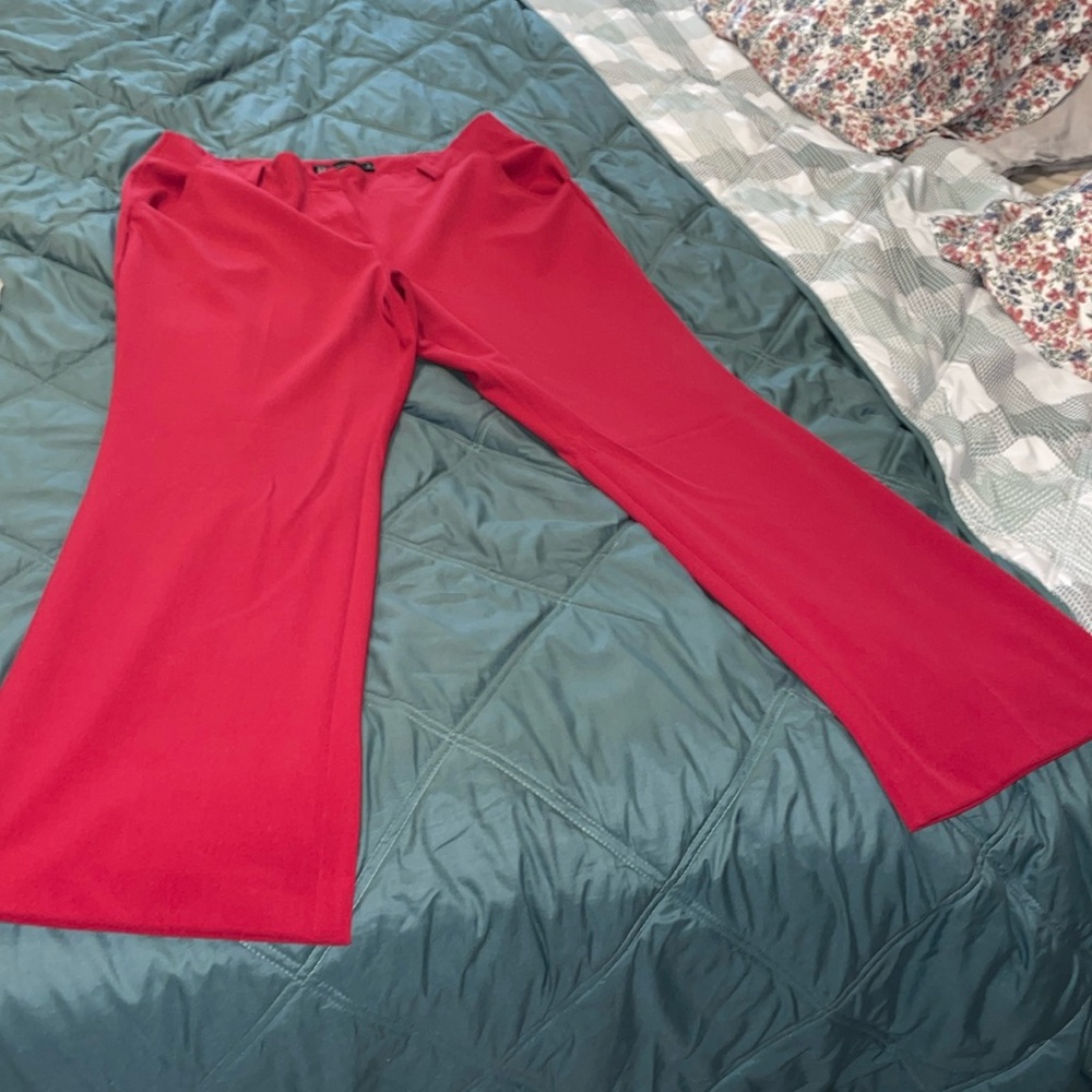 New York & Company pants